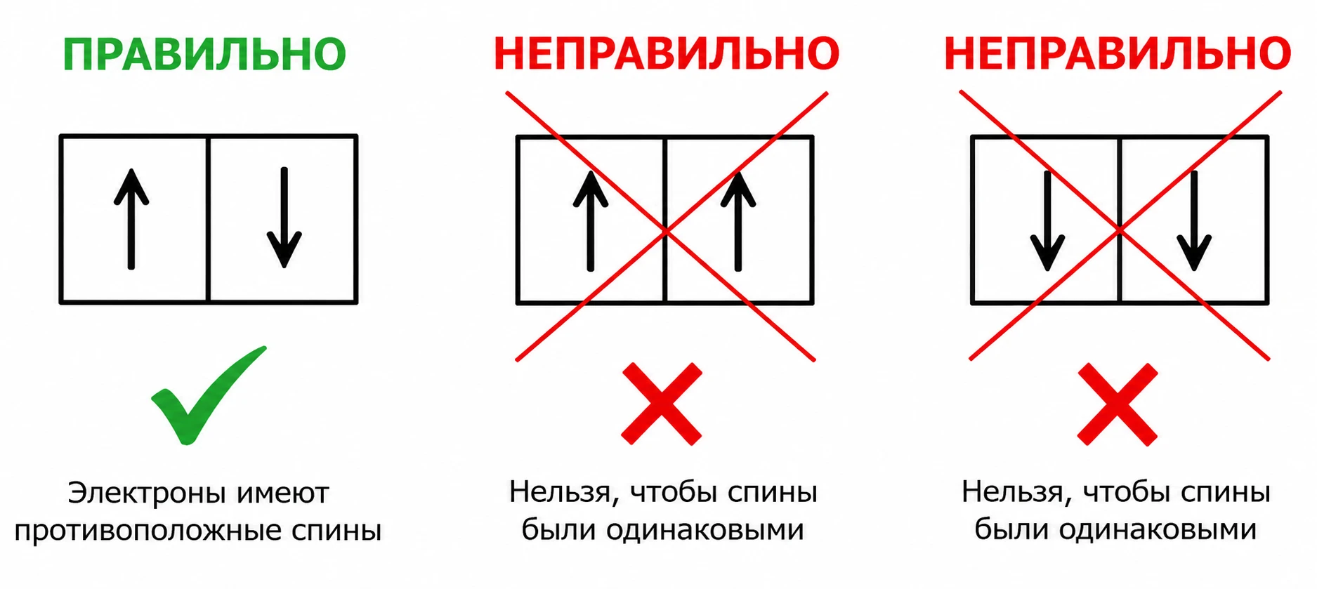 ПРИНЦИП ПАУЛИ